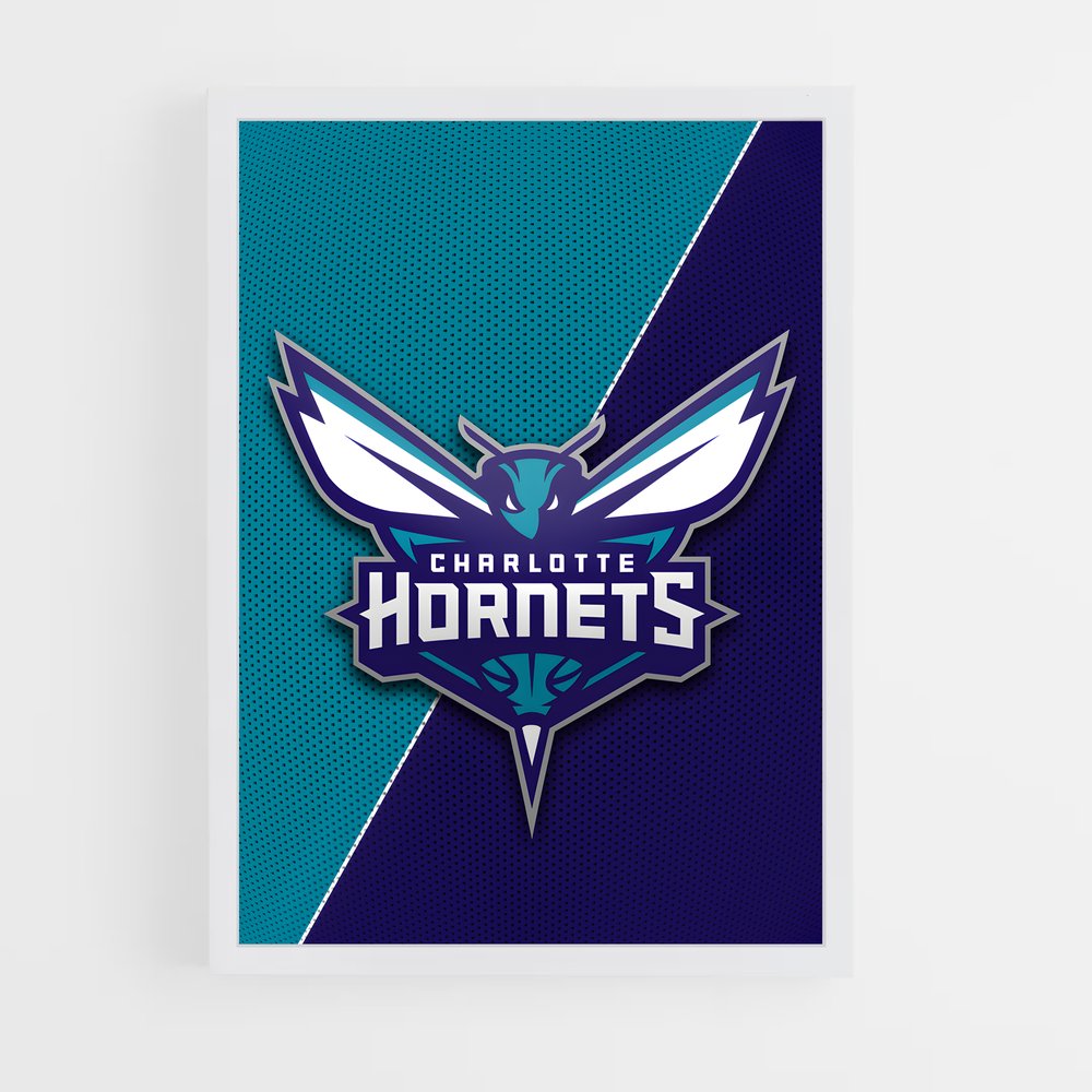 Poster Duel des Hornets – affiche Basketball (vue 3)